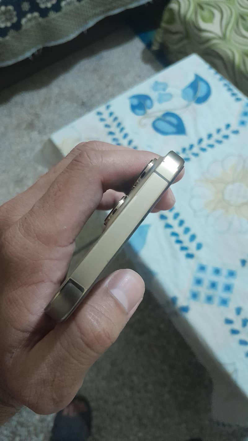 Apple iPhone 13 Pro Max 6