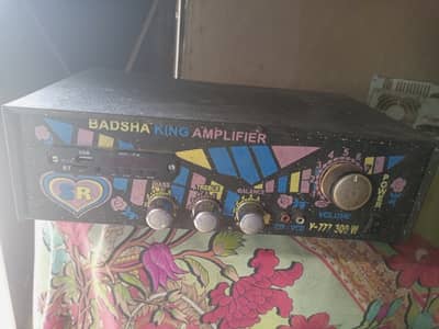 1 amplifier and 1  8"sapakar