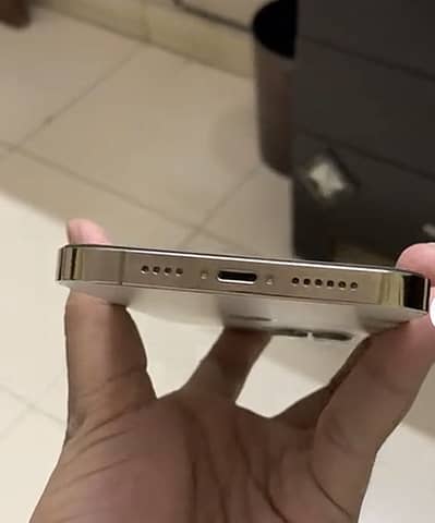 Apple iPhone 12 Pro Max