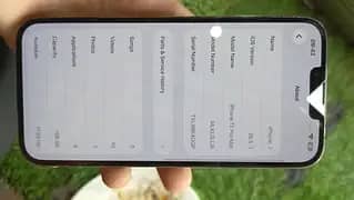 iPhone 2