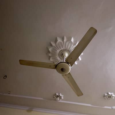 pak fan 5 fan hai