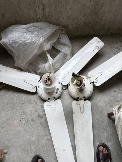 5 Fans