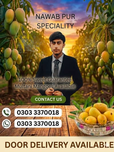 "Fresh Multani Mangoes - Nawabpur Speciality - 100% Sweet Guarantee".