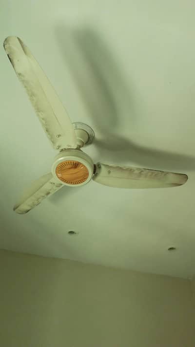 ROOM FAN