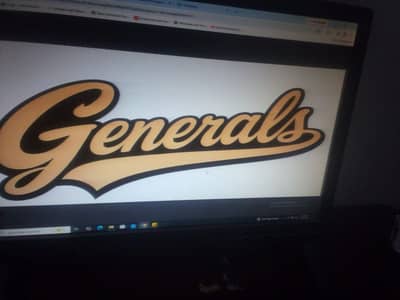 Looking for Vector artist for Freelance work