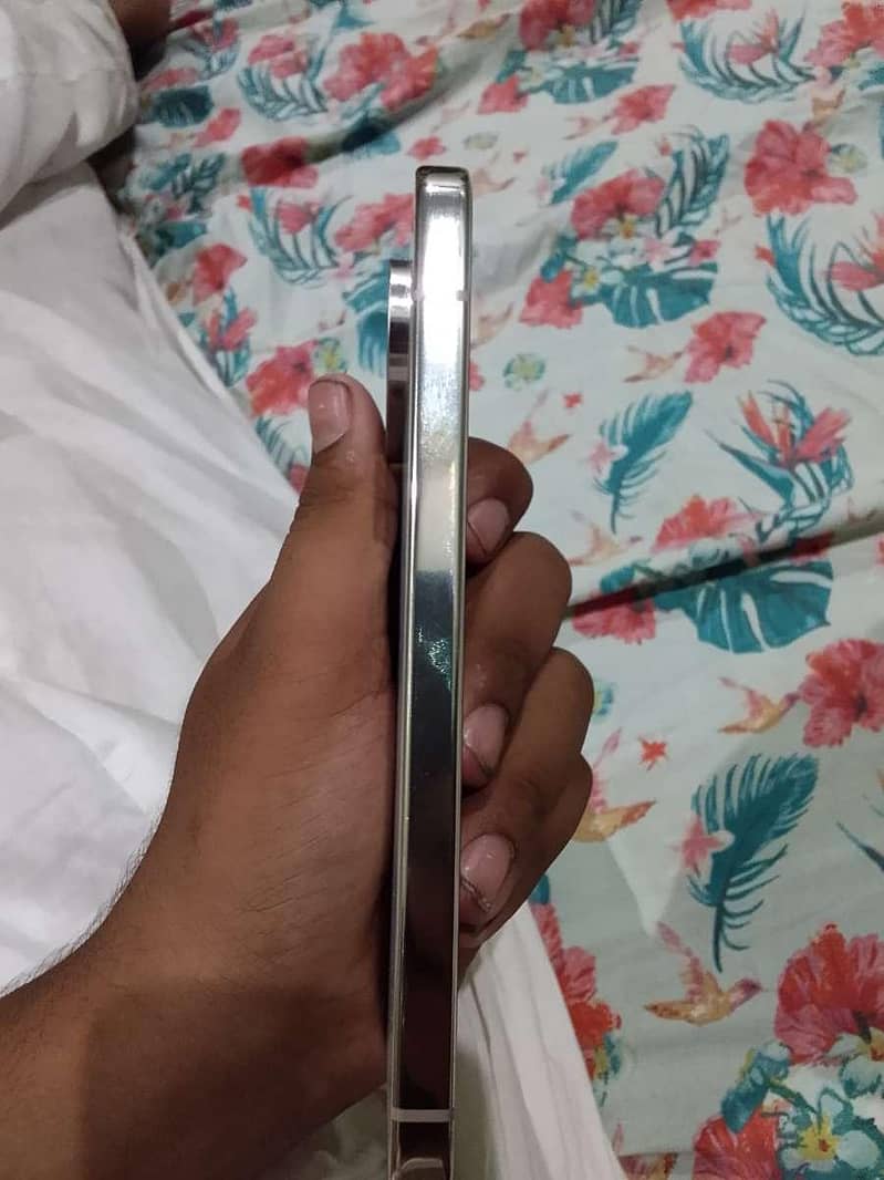 Google Pixel 9 Pro 2