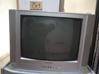 Television  (T. V)