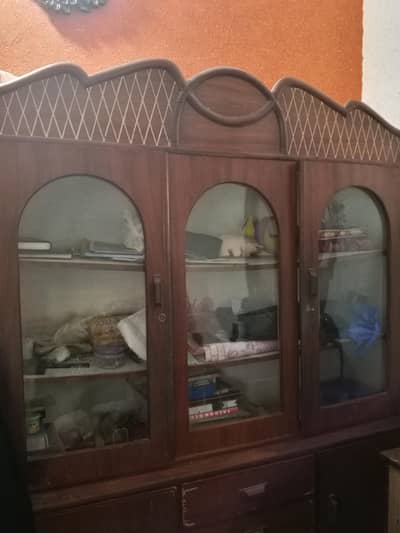 showcase for sale