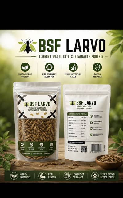 Bsf_larva ( black soldier fly larva )