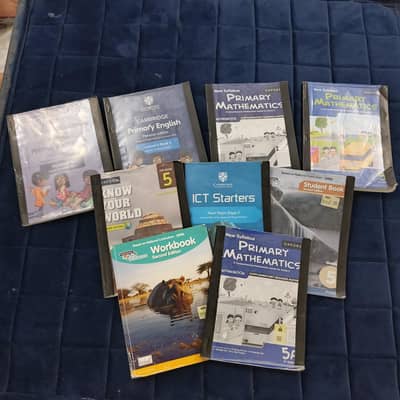 Lgs Landmark 5 Class Books