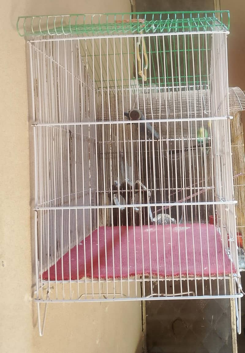 Folding Cage 0