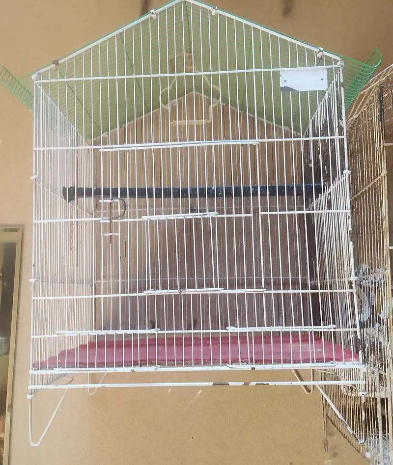 Folding Cage — photo 3