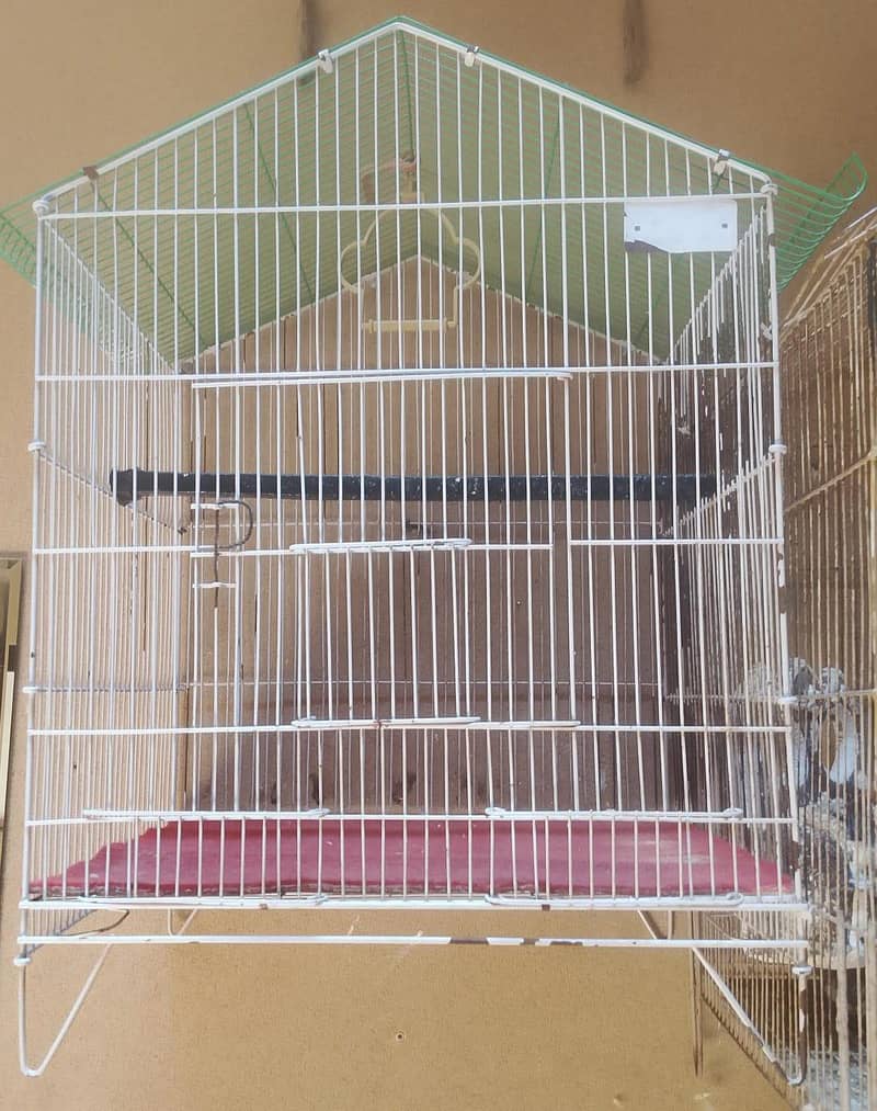 Folding Cage 3