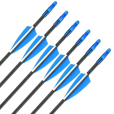 Archery practice arrows 6 pieces