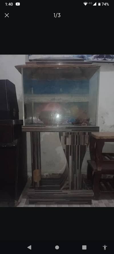 fish aquarium