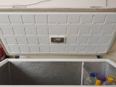 freezer for shop