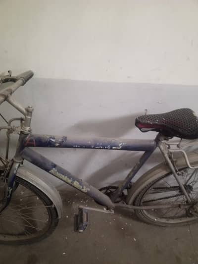 Bicycle