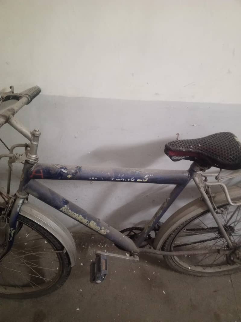 Bicycle 0