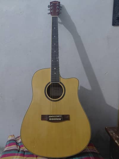 Acoustic professional guitar Newest
