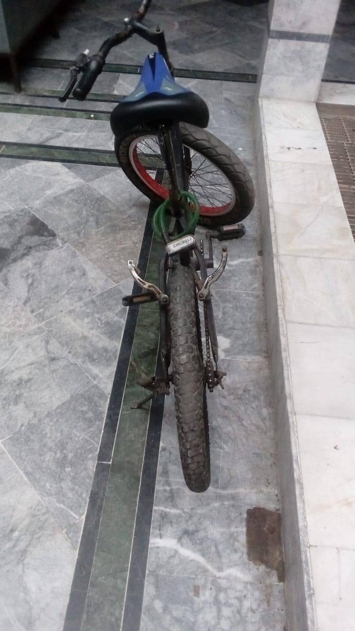 Cycle 4