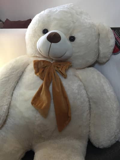 Big boy Teddy bear , Premium quality, best for gifting!