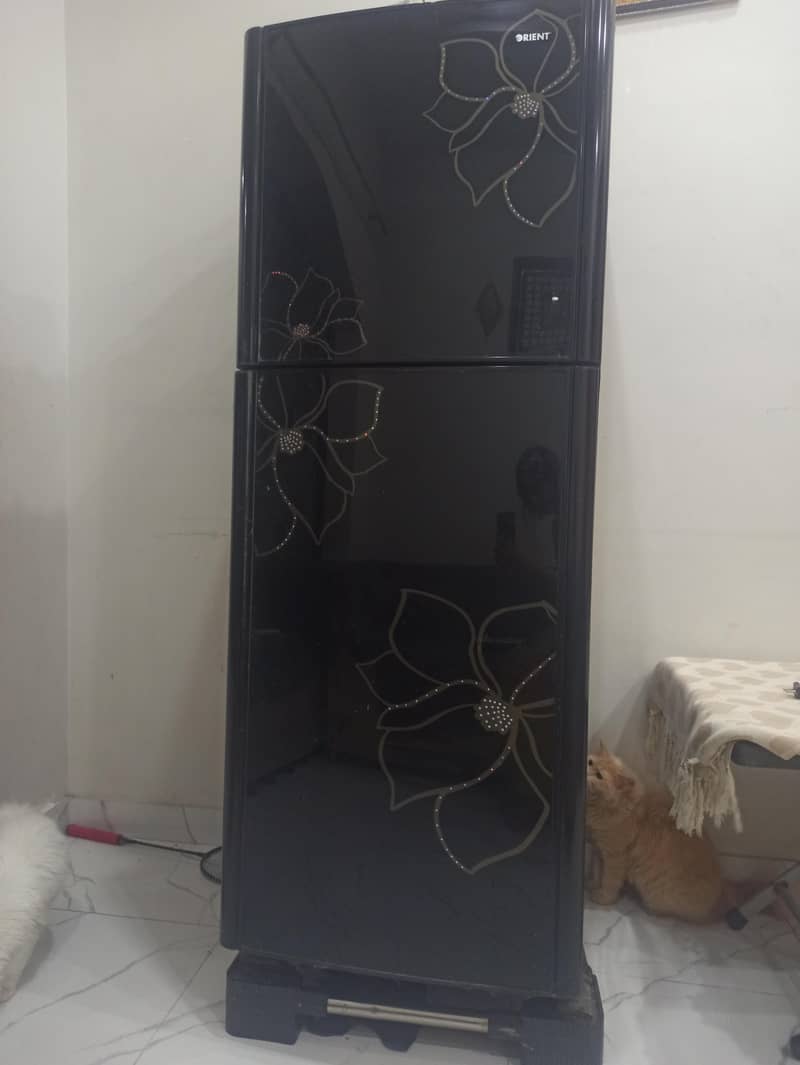 Fridge 0
