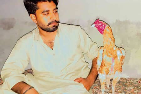 Mujtaba Awan