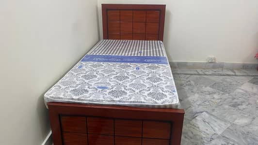 Single Wooden Beds with New Mattresses