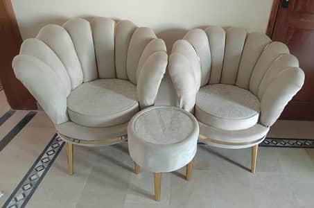 2 sofa + coffee table