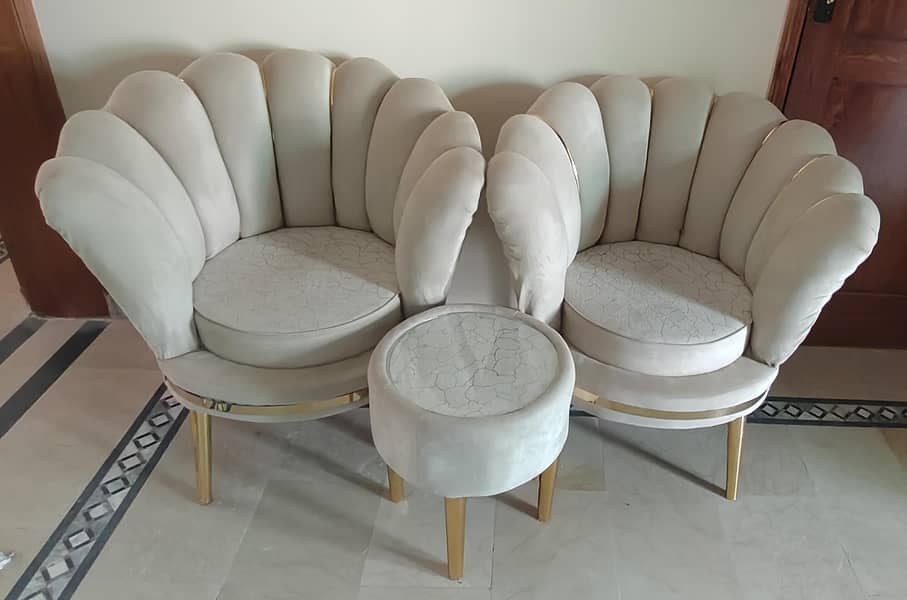 2 sofa + coffee table 0