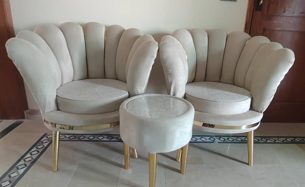 2 sofa + coffee table 1