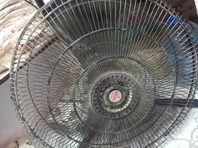 Royal fans wall fans