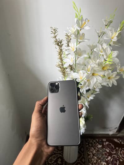 Iphone 11 pro max aproved