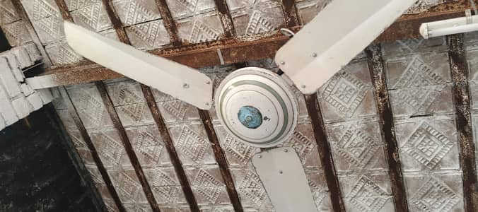 AC fan