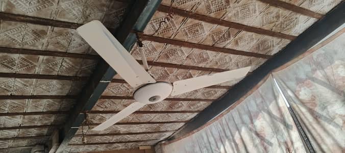 AC fan
