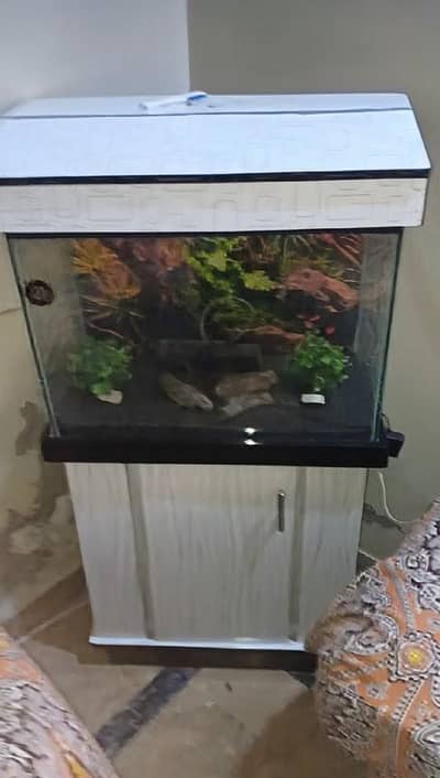 2ft Aquarium