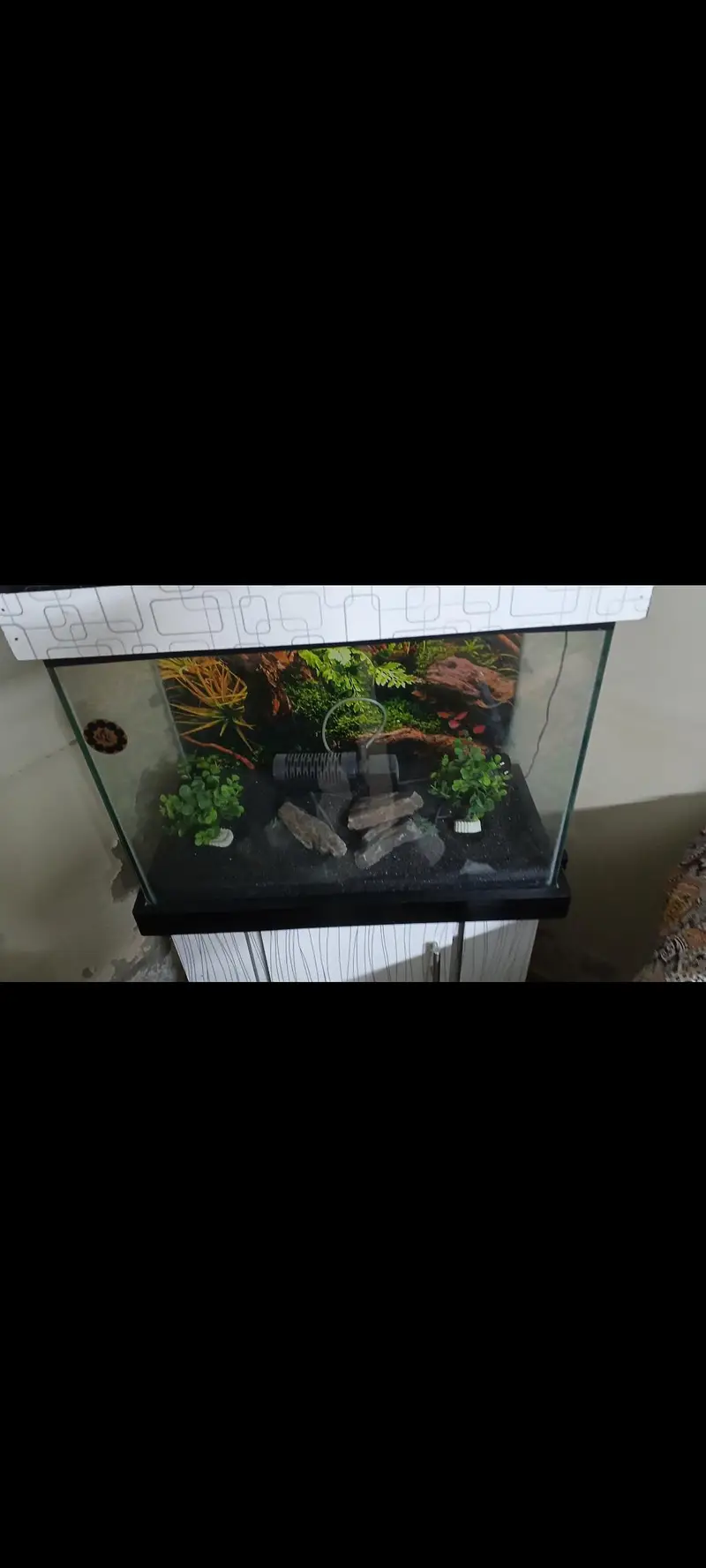 2ft Aquarium — photo 2