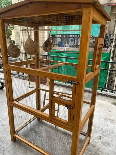 Birds Cage