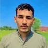 Need Job