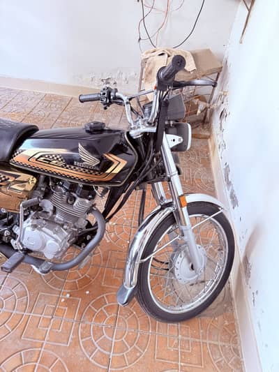 Honda cg 125 gold edition 24/25
