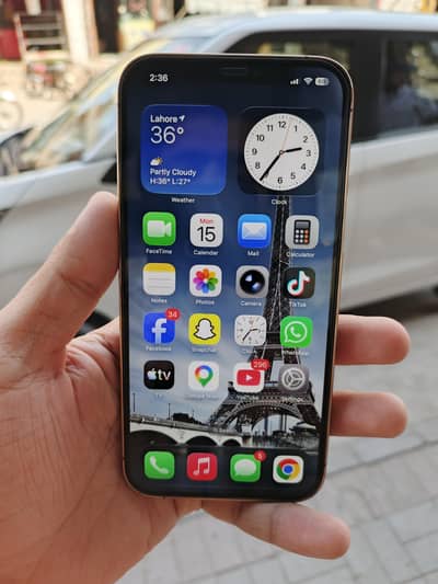 Apple iPhone 12 Pro Max