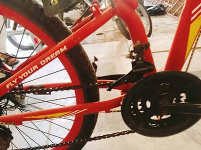 Foldable Sports Bicycle – Lightweight, Durable & Excellent Condition