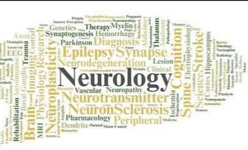Neuroanatomy High yield notes