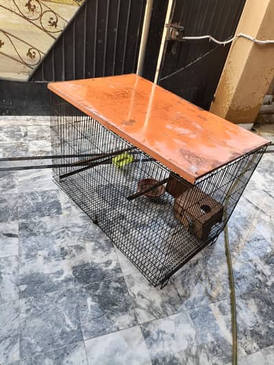 cage for birds chickens hen
