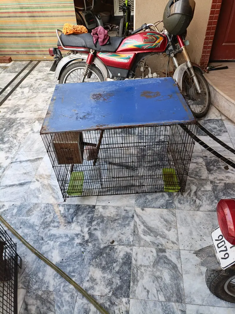 cage for birds chickens hen — photo 3