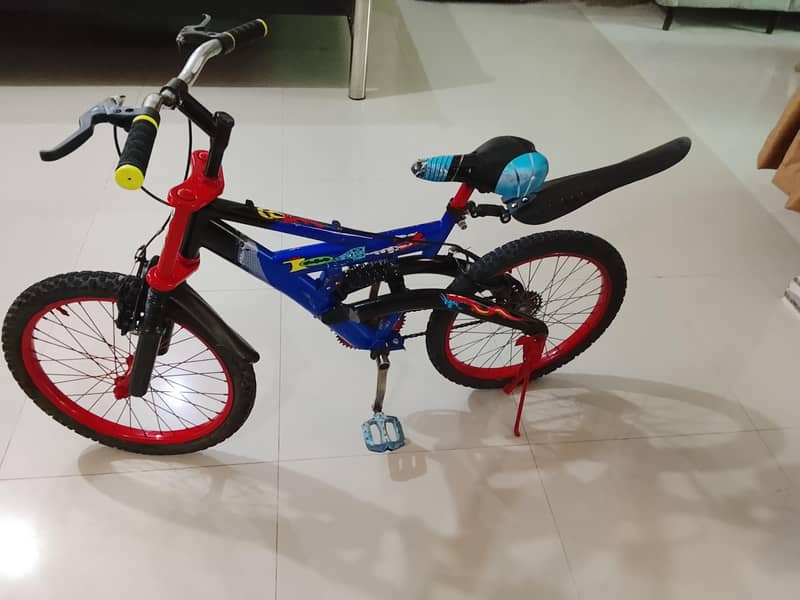 cycle 13