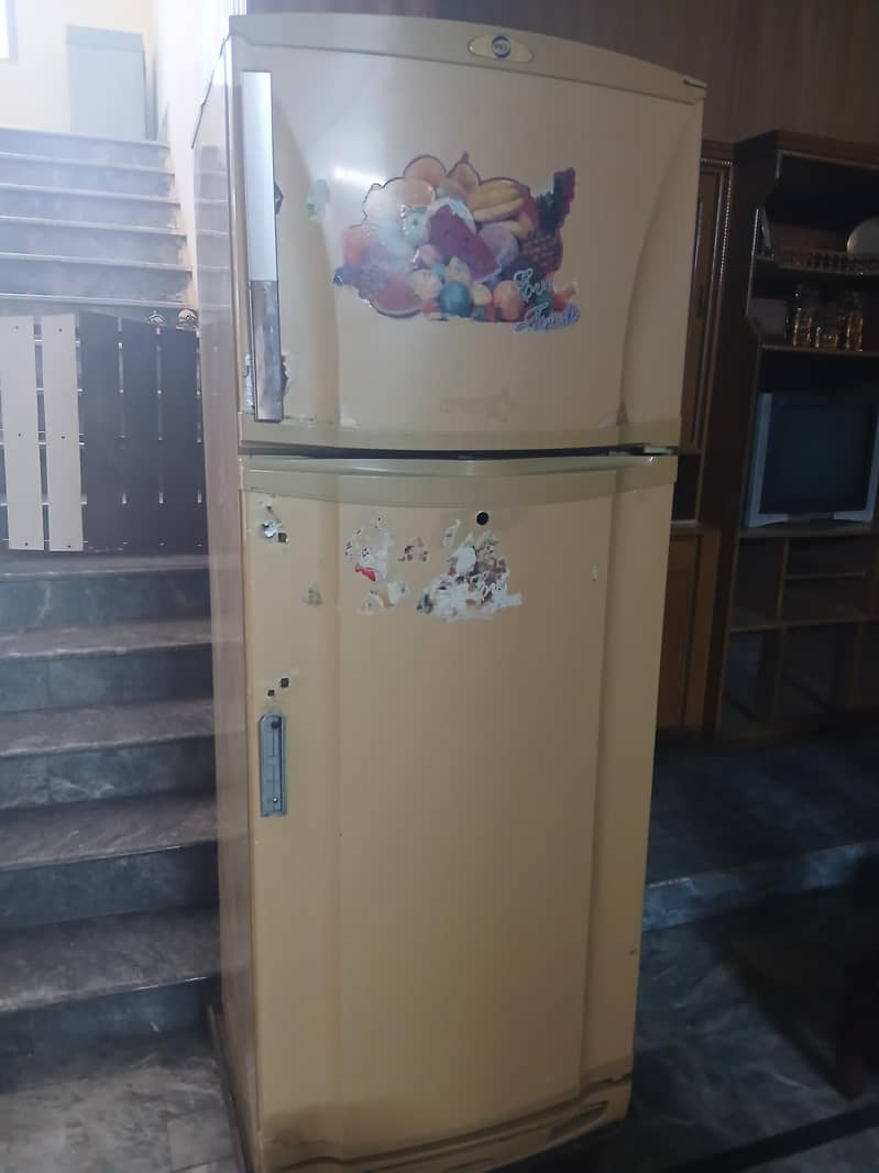 full size 1