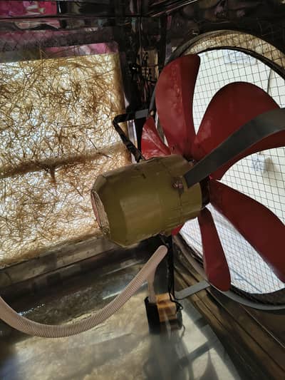 air cooler