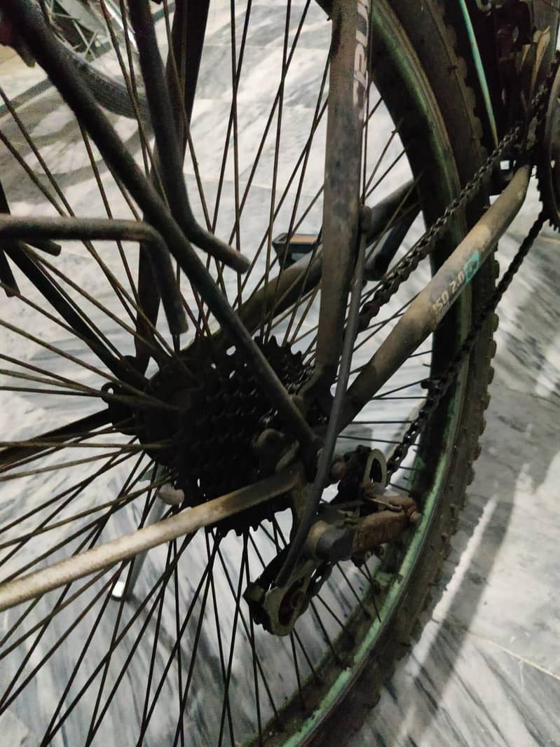 Geared Cycle 1