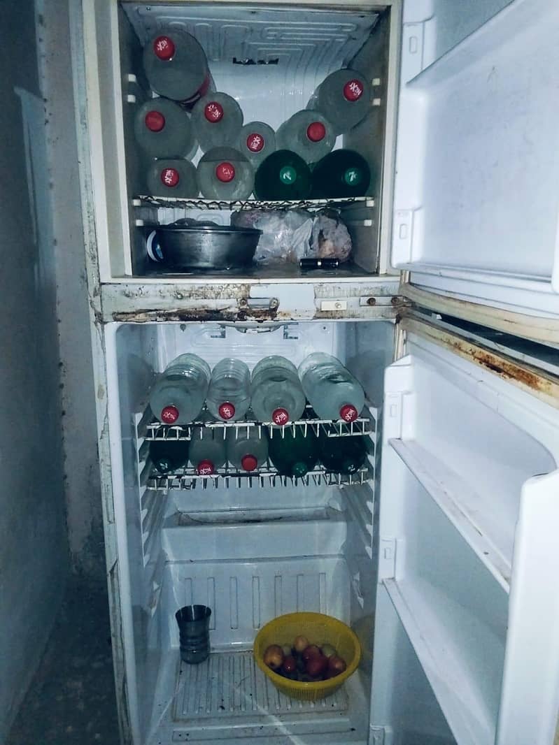 waves refrigerator 2
